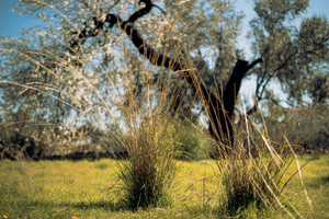 Chauffagiste Grasse